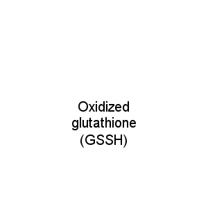 Oxidized glutathione (GSSH)